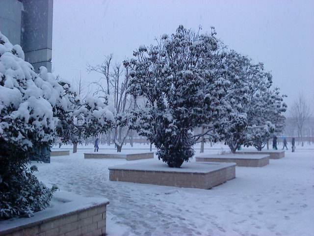 雪