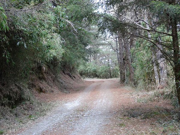 土路